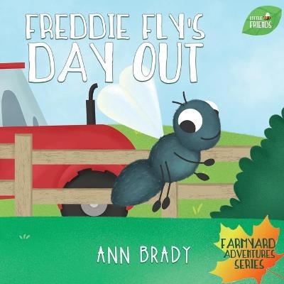 Freddie Fly's Day Out - Ann Brady