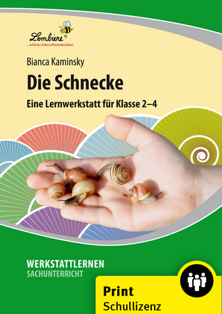 Die Schnecke