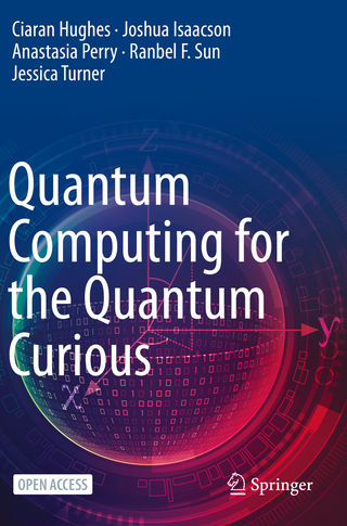 Quantum Computing for the Quantum Curious