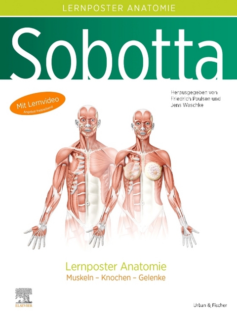 Sobotta Lernposter Anatomie - 