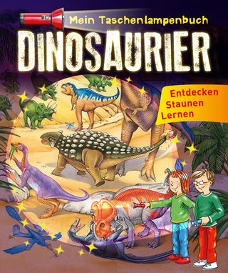 Mein Taschenlampenbuch Dinosaurier