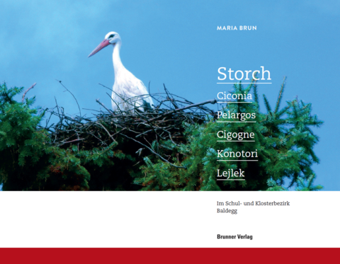 Storch, Ciconia, Pelargos, Cigogne, Konotori, Lejlek - Maria Brun