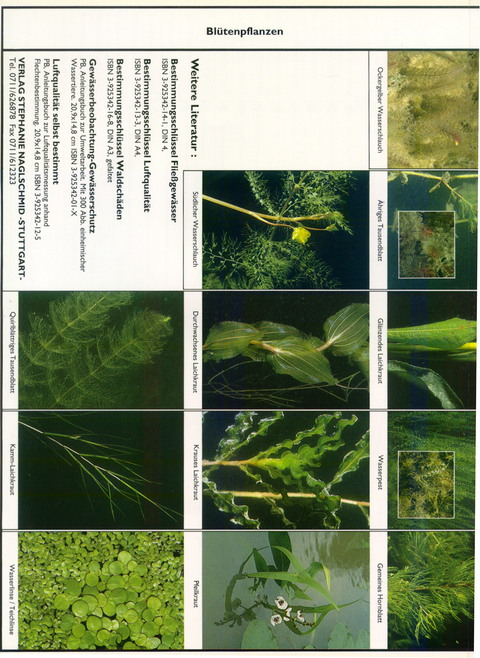 Bestimmungsschl&uuml;ssel stehende Gew&auml;sser - Bernd Humberg, A Melzer, Friedrich Naglschmid
