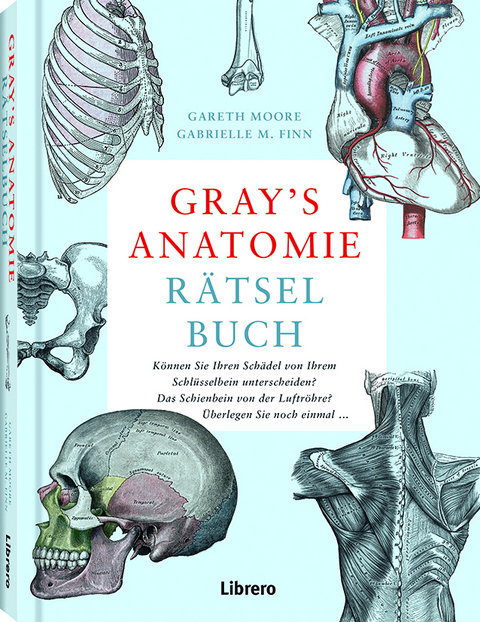 Gray's Anatomie R&auml;tselbuch - Gareth Moore, Gabrielle M. Finn