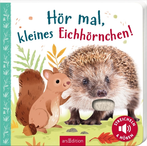H&ouml;r mal, kleines Eichh&ouml;rnchen!