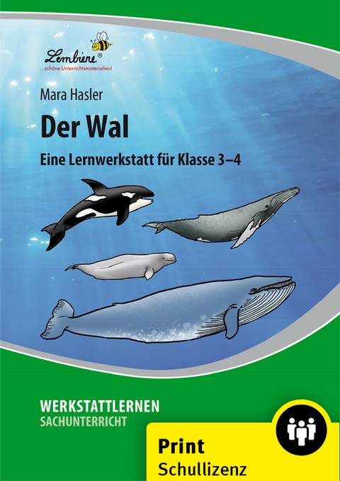 Der Wal - Mara Hasler