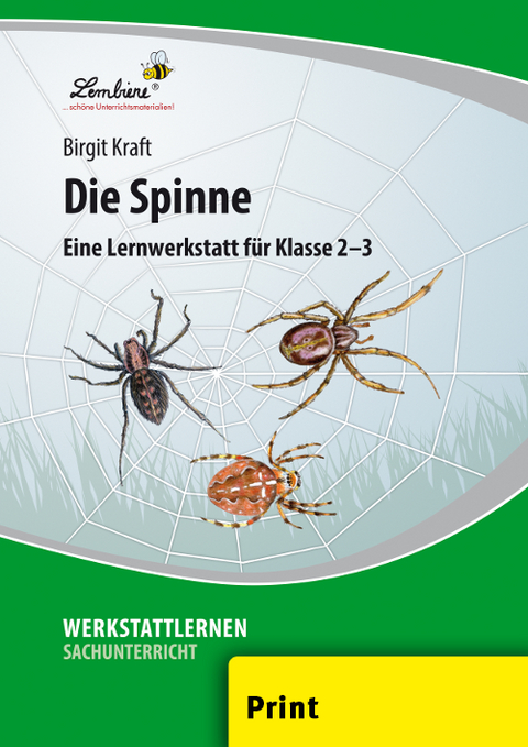 Die Spinne - Birgit Kraft