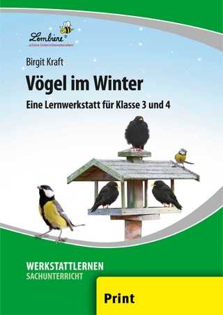 Vögel im Winter