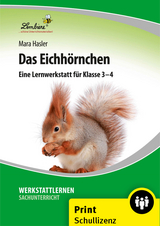 Das Eichh&ouml;rnchen - Mara Hasler