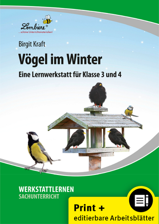 Vögel im Winter