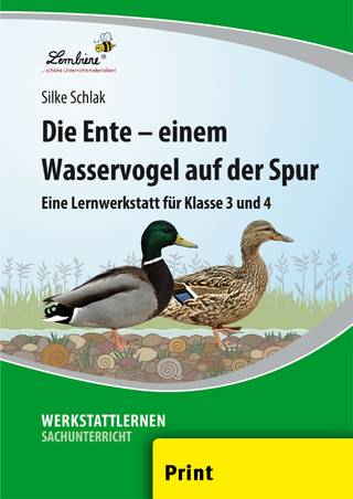 Die Ente - einem Wasservogel auf der Spur