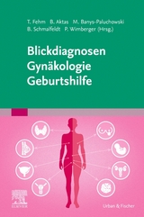 Blickdiagnosen Gyn&auml;kologie/ Geburtshilfe - 