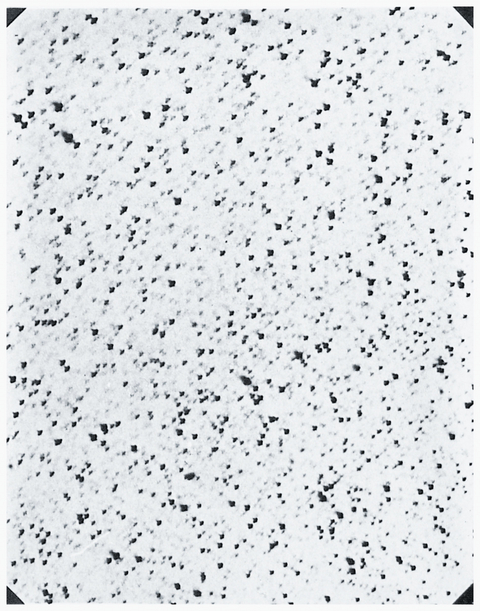 By Means of the Sun - Andrea Ferrari