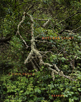 J. John Priola - J. John Priola