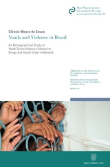 Youth and Violence in Brazil. - Cl&eacute;ssio Moura de Souza