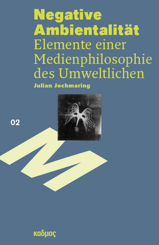 Negative Ambientalität