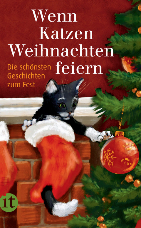 Wenn Katzen Weihnachten feiern - 