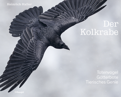 Der Kolkrabe &ndash; Totenvogel, G&ouml;tterbote, tierisches Genie - Heinrich Haller