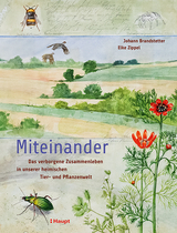 Miteinander - Johann Brandstetter, Elke Zippel
