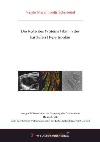 Die Rolle des Proteins Fibin in der kardialen Hypertrophie