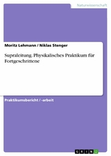 Supraleitung. Physikalisches Praktikum f&uuml;r Fortgeschrittene - Moritz Lehmann, Niklas Stenger