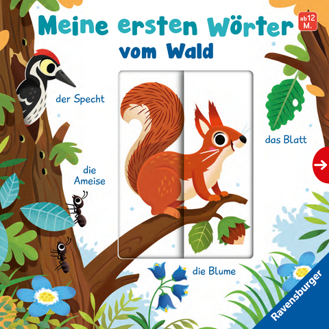 Meine ersten W&ouml;rter vom Wald - Sprechen lernen mit gro&szlig;en Schiebern und Sachwissen f&uuml;r Kinder ab 12 Monaten - Cornelia Frank