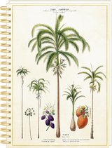 Ringbuch DIN A4 – Notizen