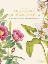 Wild Flowers of North America - Pamela Henson