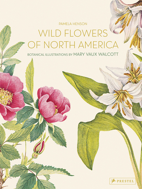 Wild Flowers of North America - Pamela Henson