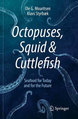 Octopuses, Squid & Cuttlefish