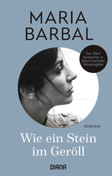Wie ein Stein im Ger&ouml;ll - Maria Barbal
