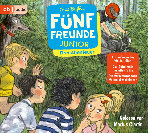 Fünf Freunde JUNIOR - Drei Abenteuer - Ein aufregender Waldausflug. Das Geheimnis der alten Villa. Die verschwundenen Weihnachtspäckchen - Enid Blyton