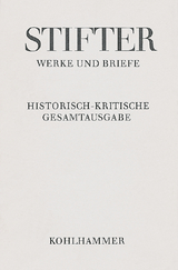 Briefe von Adalbert Stifter 1863-1865 - 