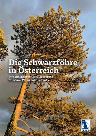 Die Schwarzföhre in Österreich