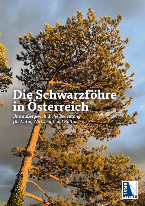 Die Schwarzf&ouml;hre in &Ouml;sterreich - 
