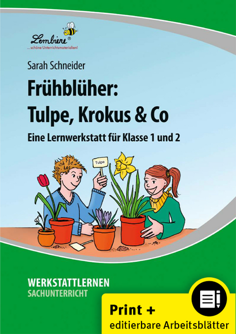 Fr&uuml;hbl&uuml;her: Tulpe, Krokus & Co - Sarah Schneider