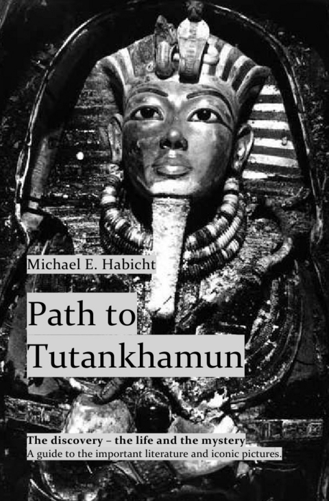 Path to Tutankhamun - Michael E. Habicht