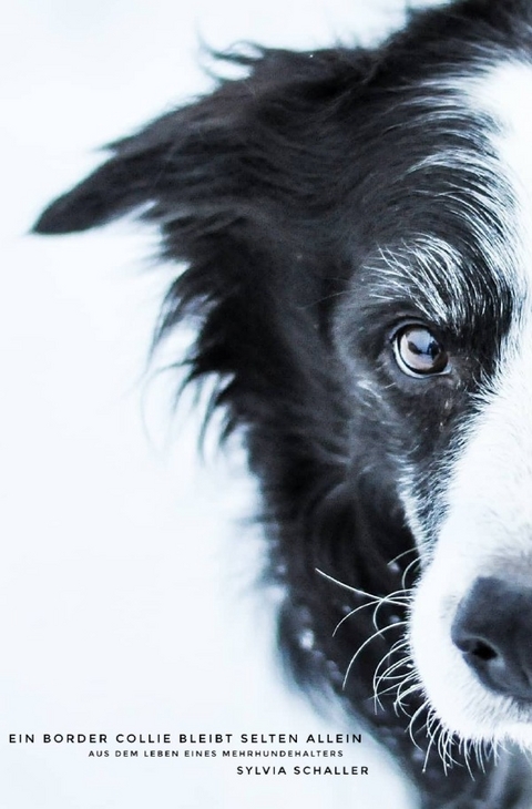 Ein Border Collie bleibt selten allein - Sylvia Schaller