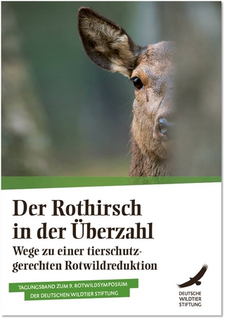 Der Rothirsch in der Überzahl