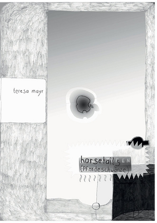 Teresa Mayr - horsetails (Pferdeschwänze)