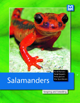 Salamanders - Frank Pasmans, Serg&eacute; Bogarts, Henry Janssen, Max Sparreboom