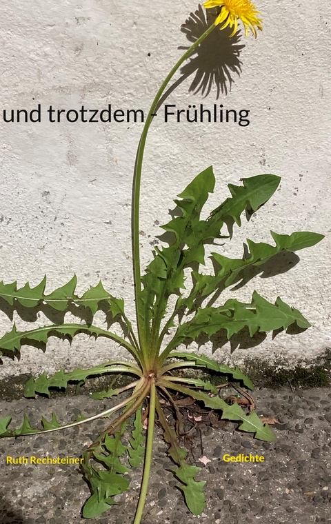 und trotzdem - Fr&uuml;hling - Ruth Rechsteiner