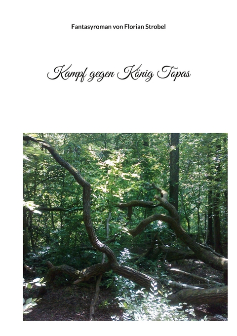 Kampf gegen K&ouml;nig Topas - Florian Strobel