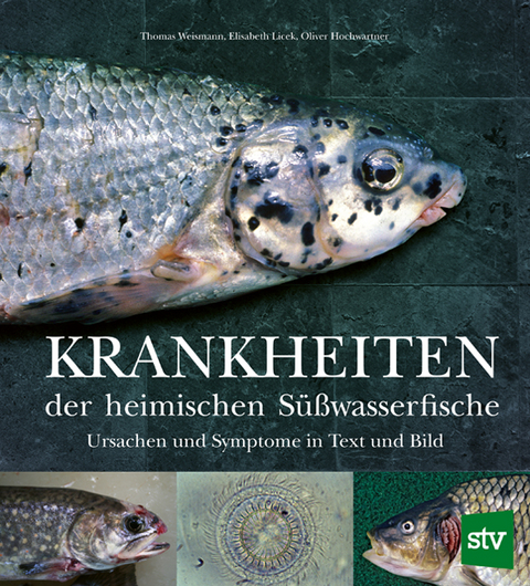 Krankheiten der heimischen S&uuml;&szlig;wasserfische - Thomas Weismann, Elisabeth Licek, Oliver Hochwartner