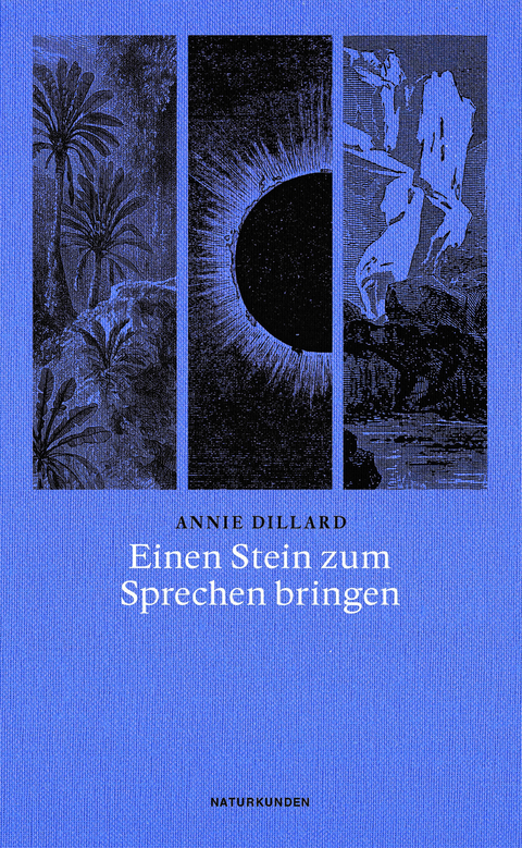 Einen Stein zum Sprechen bringen - Annie Dillard