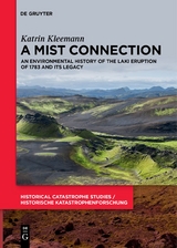 A Mist Connection - Katrin Kleemann