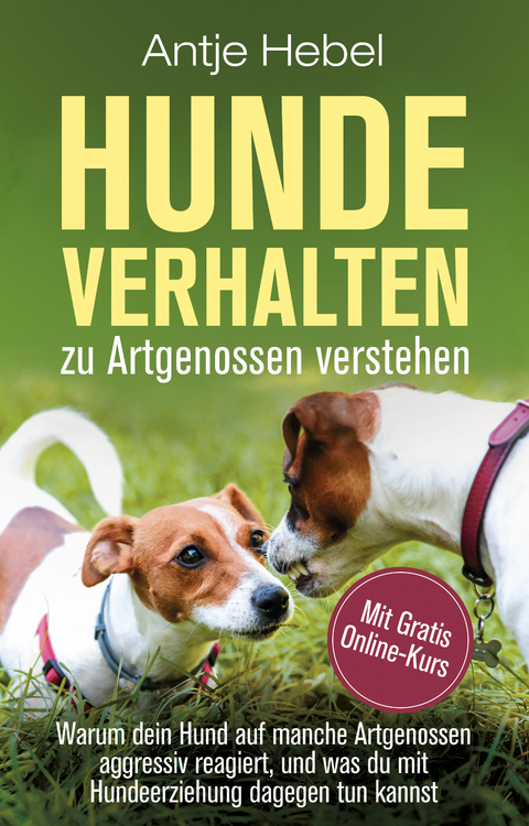 Hundeverhalten zu Artgenossen verstehen - Hebel Antje