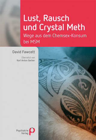 Lust, Rausch und Crystal Meth - David Fawcett