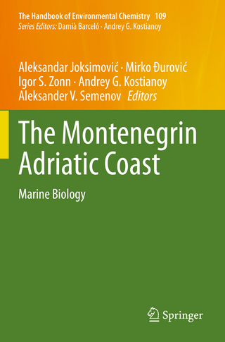 The Montenegrin Adriatic Coast