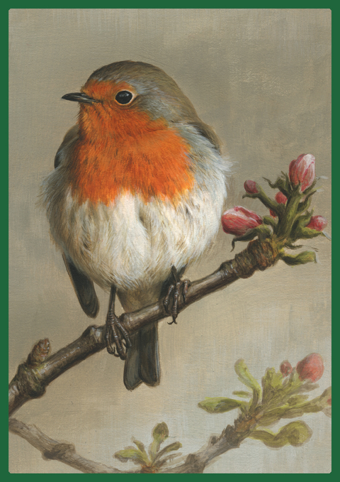 Vorzugsausgabe: Atlas Deutscher Brutvogelarten (ADEBAR) - Kai Gedeon, Alexander Mitschke